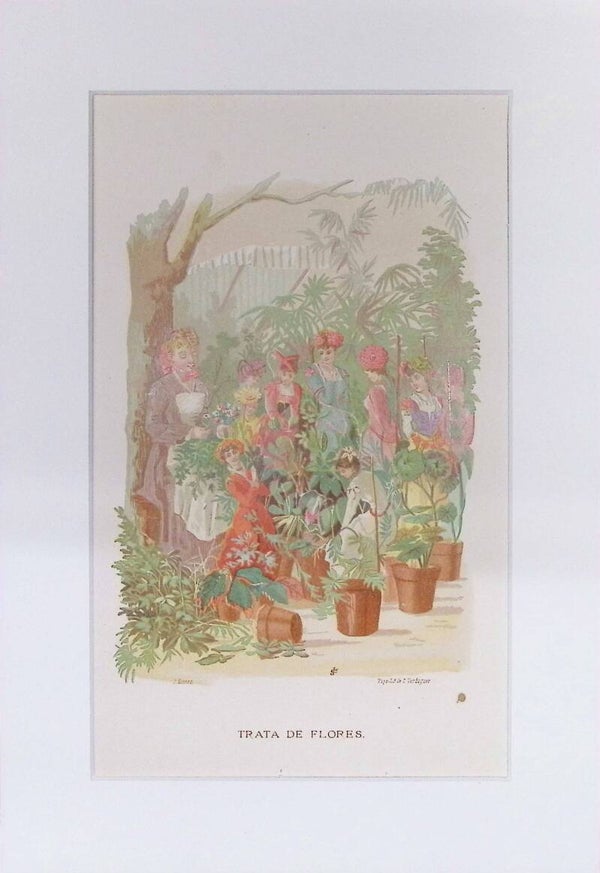 Trata de Flores – Cromolitografía de J. Simon (La Vida de las Flores, 1878) | 32 x 22 cm