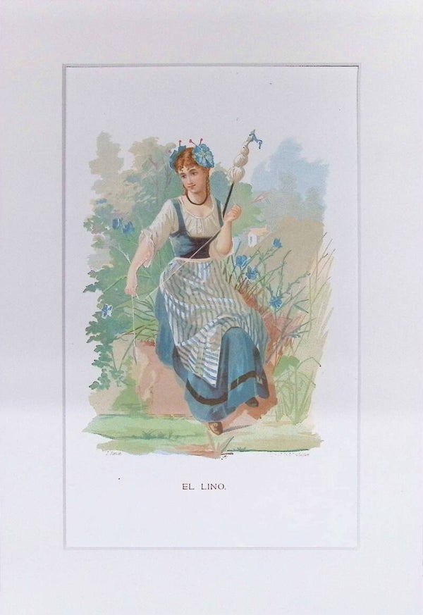 El Lino – Cromolitografía de J. Simon (La Vida de las Flores, 1878) | 32 x 22 cm