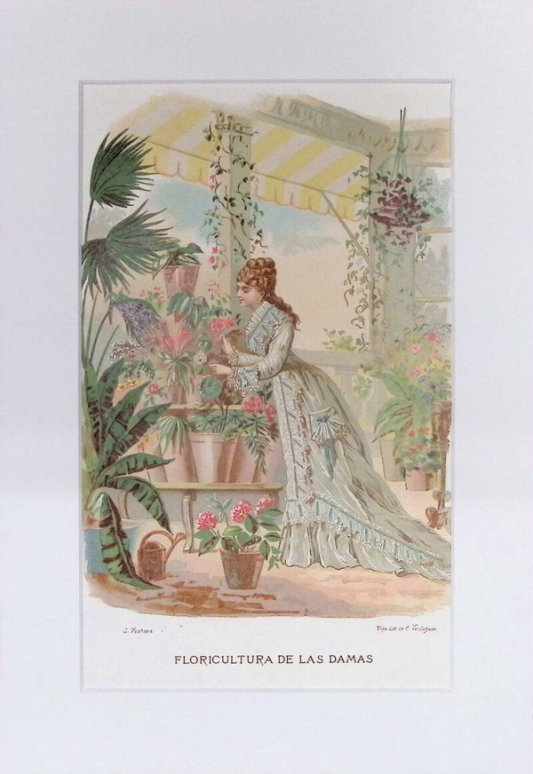 Floricultura de las Damas – Cromolitografía de J. Ventura (La Vida de las Flores, 1878) | 32 x 22 cm