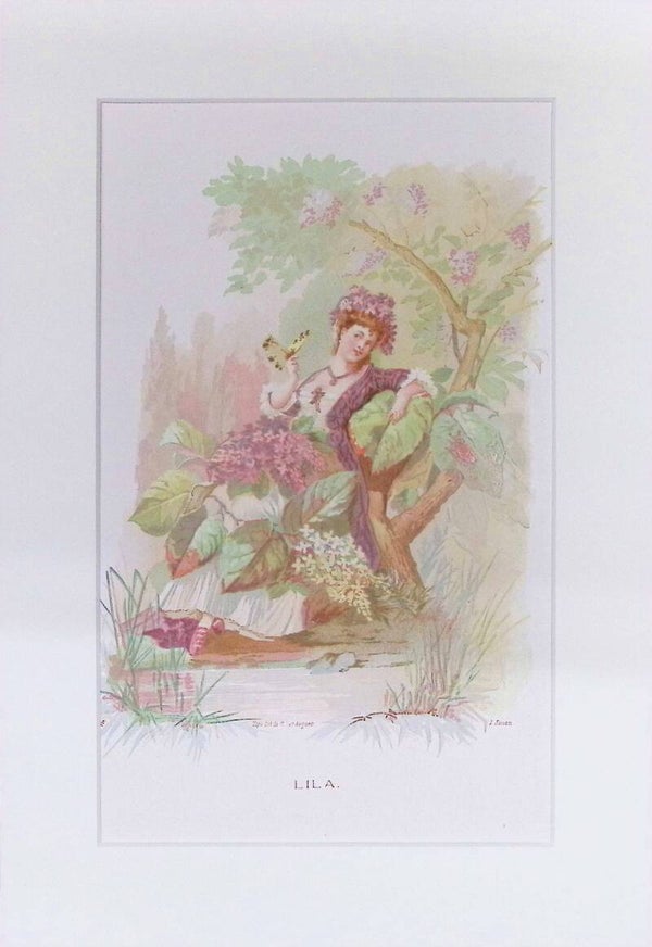 Lila – Cromolitografía de J. Simon (La Vida de las Flores, 1878) | 32 x 22 cm