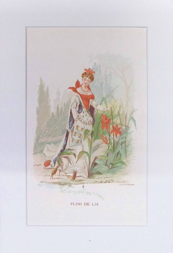 Flor de Lis – Cromolitografía de J. Simon (La Vida de las Flores, 1878) | 32 x 22 cm