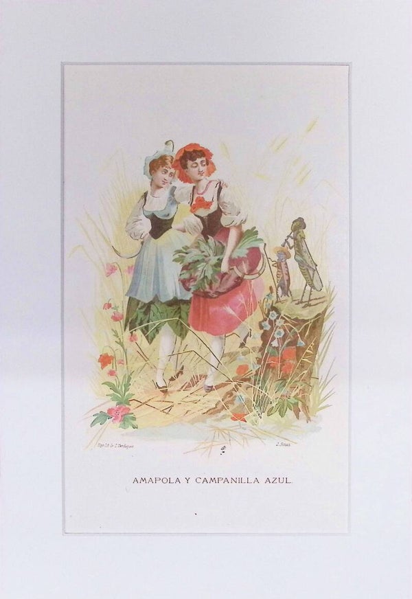 Amapola y Campanilla Azul – Cromolitografía de J. Simon (La Vida de las Flores, 1878) | 32 x 22 cm