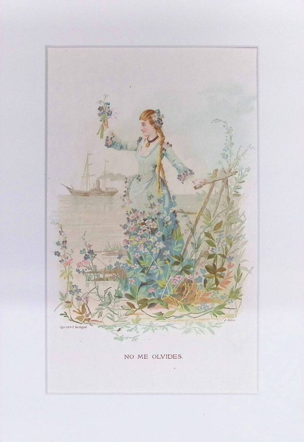 No me Olvides – Cromolitografía de J. Simon (La Vida de las Flores, 1878) | 32 x 22 cm