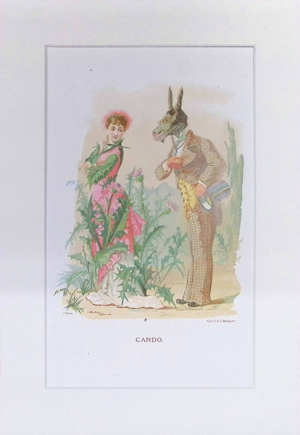 Cardo – Cromolitografía de J. Simon (La Vida de las Flores, 1878) | 32 x 22 cm