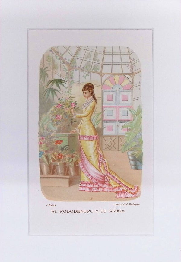 El Rododendro y su Amiga – Cromolitografía de J. Ventura (La Vida de las Flores, 1878) | 32 x 22 cm