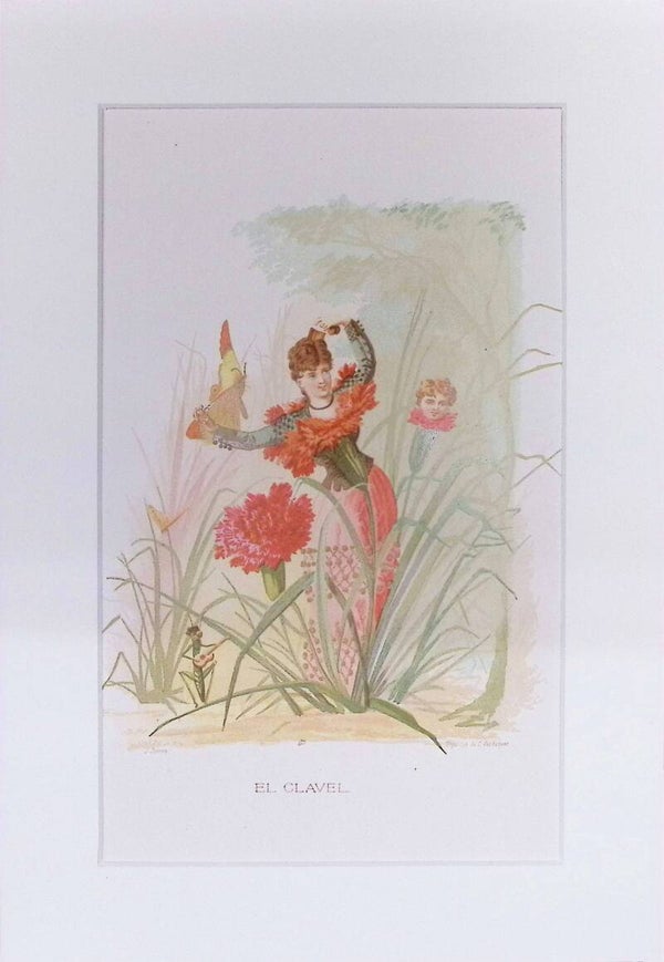 El Clavel – Cromolitografía de J. Simon (La Vida de las Flores, 1878) | 32 x 22 cm