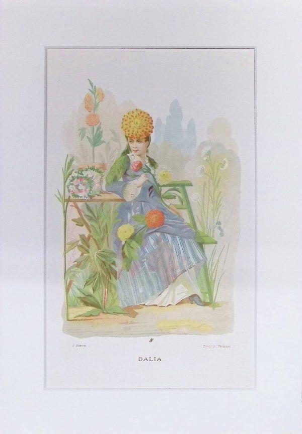 Dalia – Cromolitografía de J. Simon (La Vida de las Flores, 1878) | 32 x 22 cm