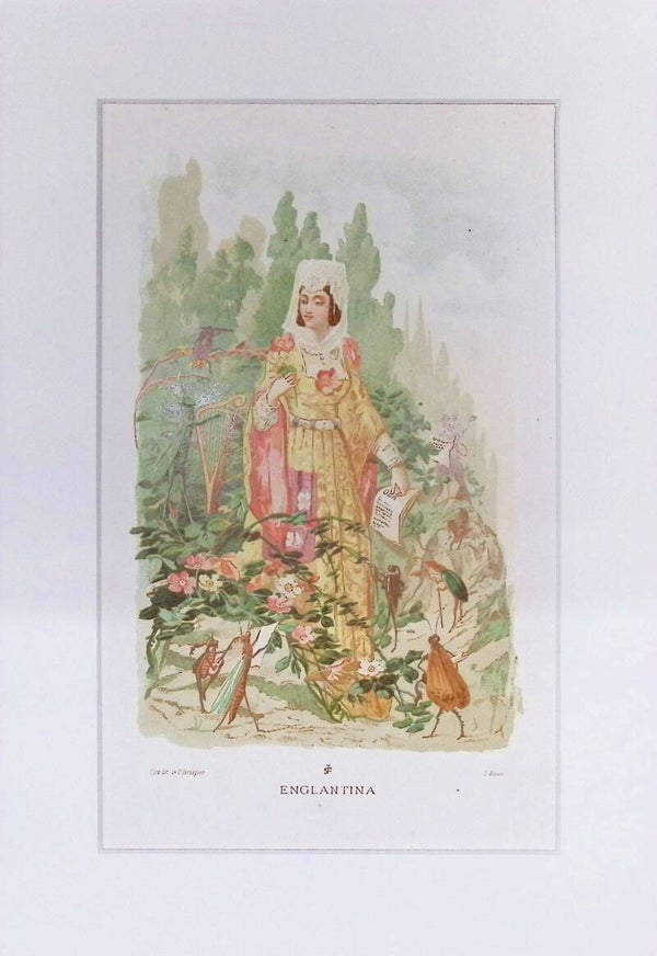 Englantina – Cromolitografía de J. Simon (La Vida de las Flores, 1878) | 32 x 22 cm