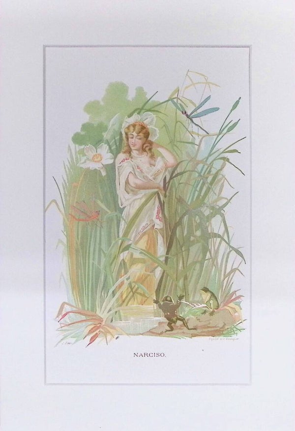 Narciso – Cromolitografía de J. Simon (La Vida de las Flores, 1878) | 32 x 22 cm