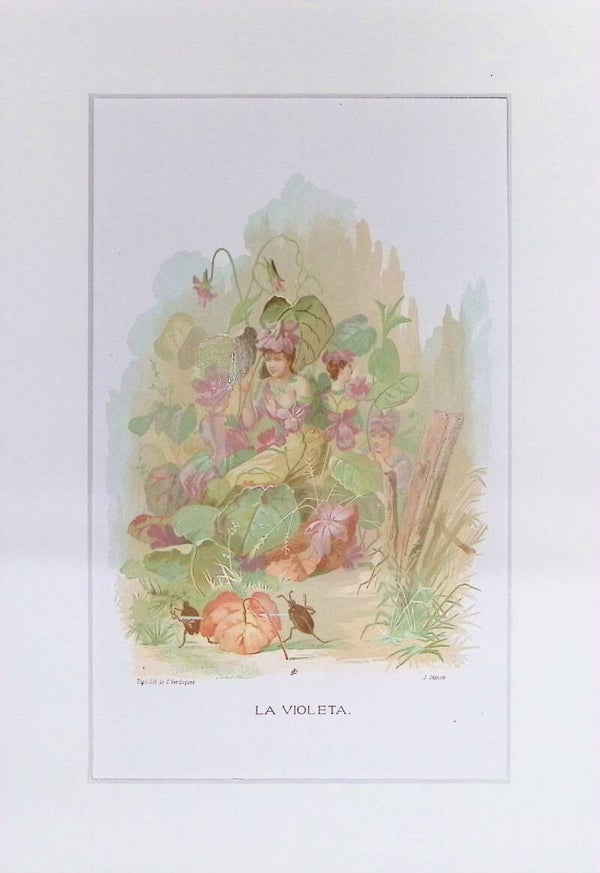 La Violeta – Cromolitografía de J. Simon (La Vida de las Flores, 1878) | 32 x 22 cm