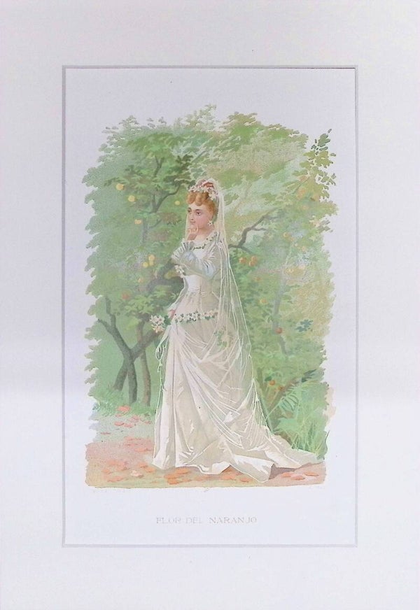 Flor del Naranjo – Cromolitografía de J. Simon (La Vida de las Flores, 1878) | 32 x 22 cm Descripción completa: