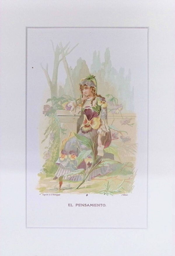 El Pensamiento – Cromolitografía de J. Simon (La Vida de las Flores, 1878) | 32 x 22 cm