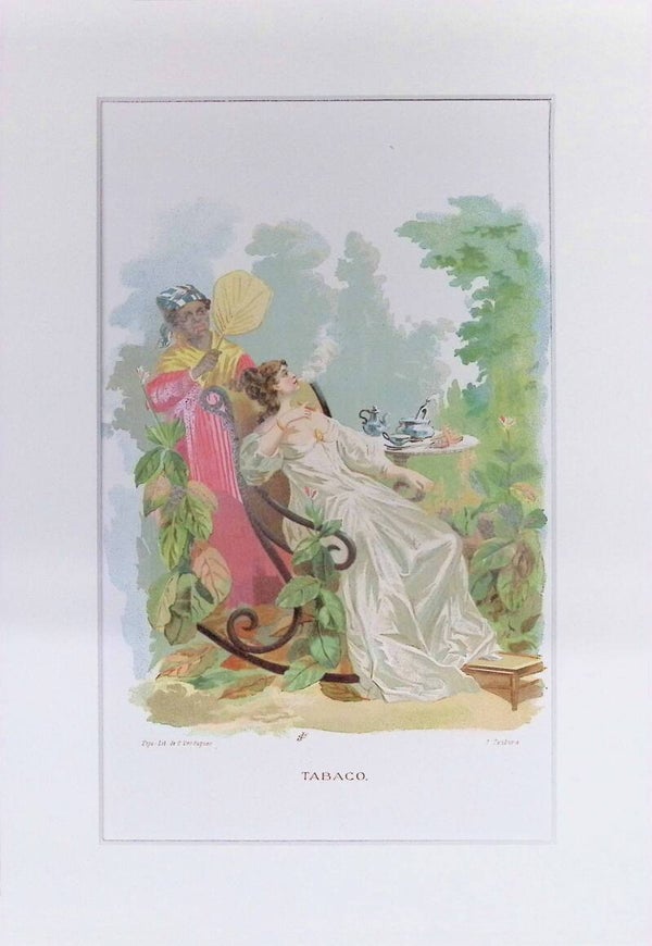 Tabaco – Cromolitografía de J. Ventura (La Vida de las Flores, 1878) | 32 x 22 cm