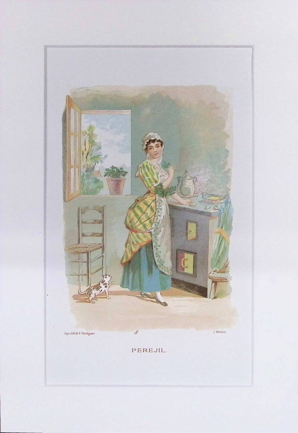 Perejil – Cromolitografía de J. Ventura (La Vida de las Flores, 1878) | 32 x 22 cm