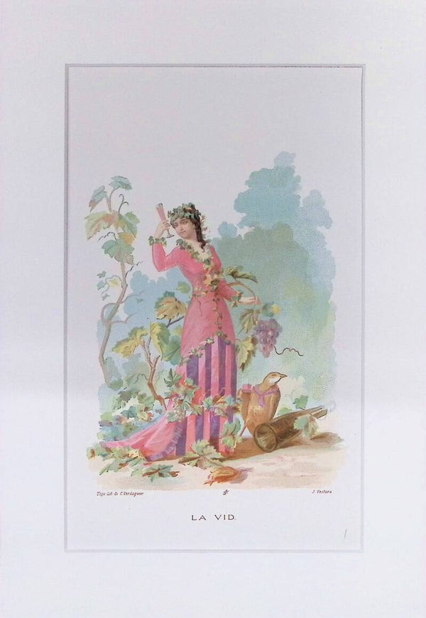 La Vid – Cromolitografía de J. Ventura (La Vida de las Flores, 1878) | 32 x 22 cm