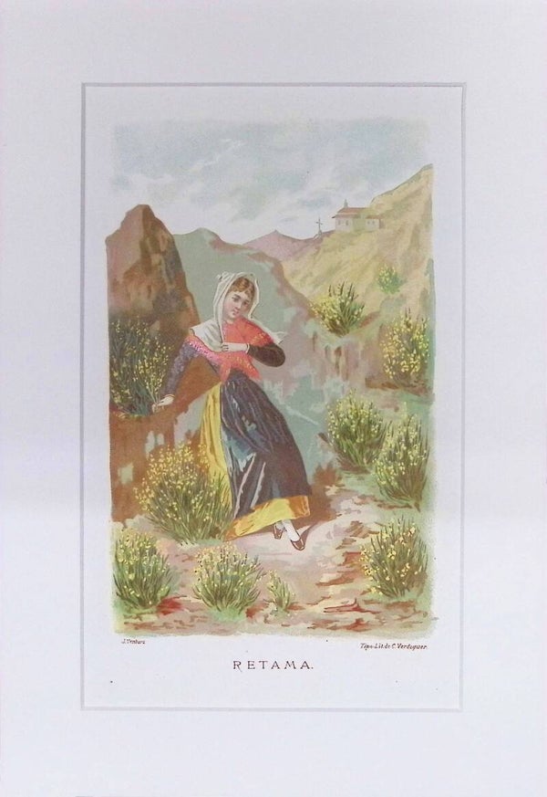 Retama – Cromolitografía de J. Ventura (La Vida de las Flores, 1878) | 32 x 22 cm