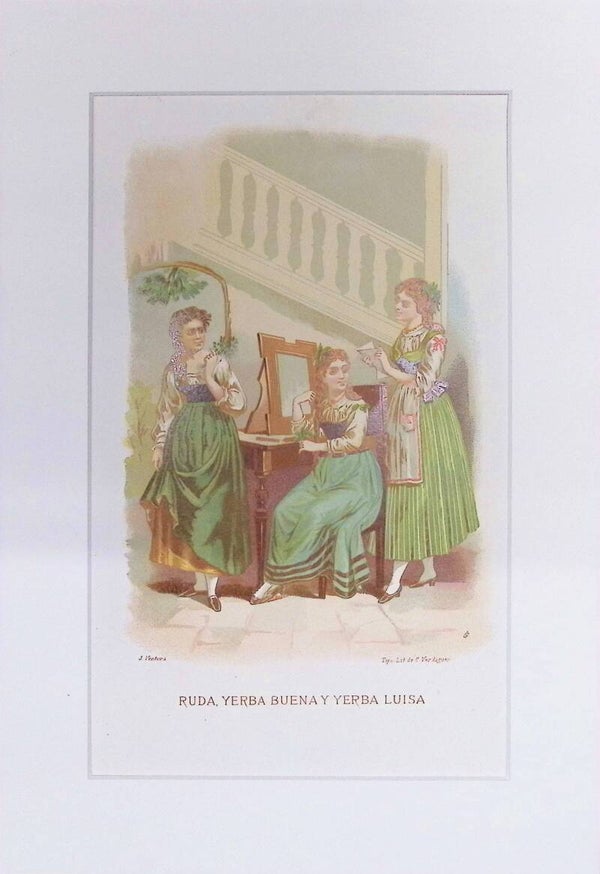 Ruda, Yerba Buena y Yerba Luisa – Cromolitografía de J. Ventura (La Vida de las Flores, 1878) | 32 x 22 cm