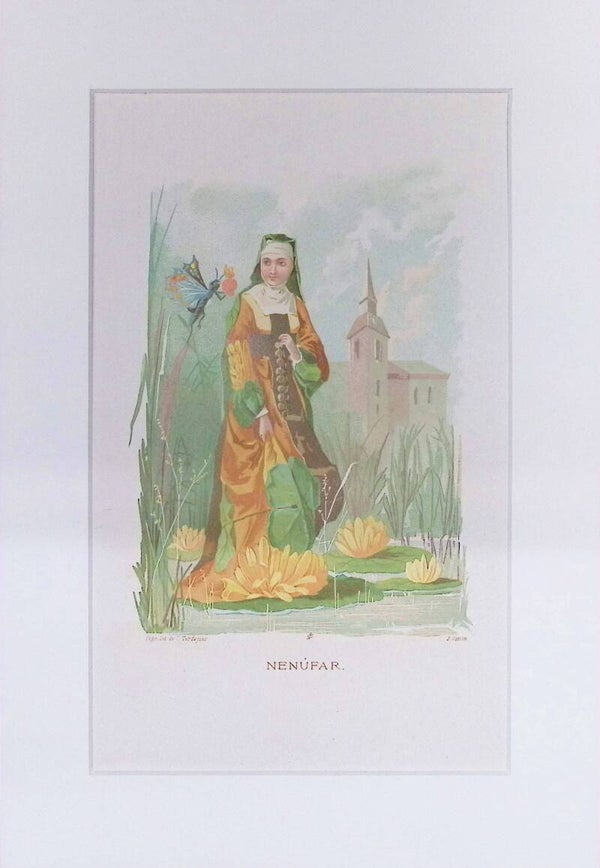 Nenúfar – Cromolitografía de J. Simon (La Vida de las Flores, 1878) | 32 x 22 cm