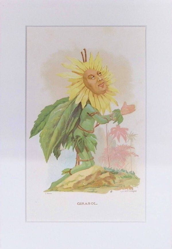 Girasol – Cromolitografía de J. Simon (La Vida de las Flores, 1878) | 32 x 22 cm