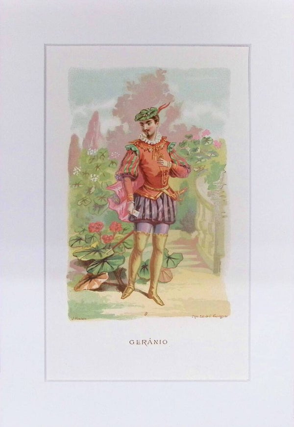 Geranio – Cromolitografía de J. Ventura (La Vida de las Flores, 1878) | 32 x 22 cm