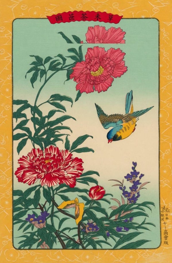 Ilustración original japonesa - Pájaro azul y amarillo volando entre peonías (26 × 19 cm)