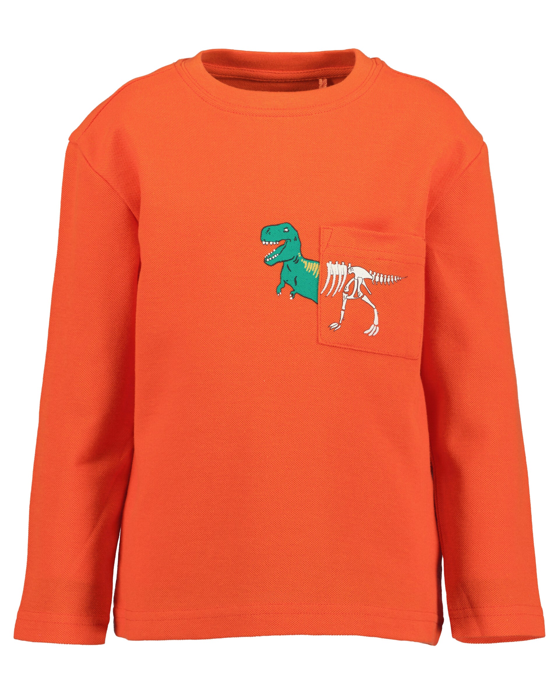 Dino T-shirt