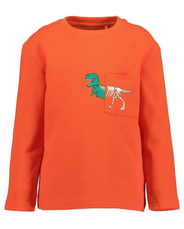 Dino T-shirt