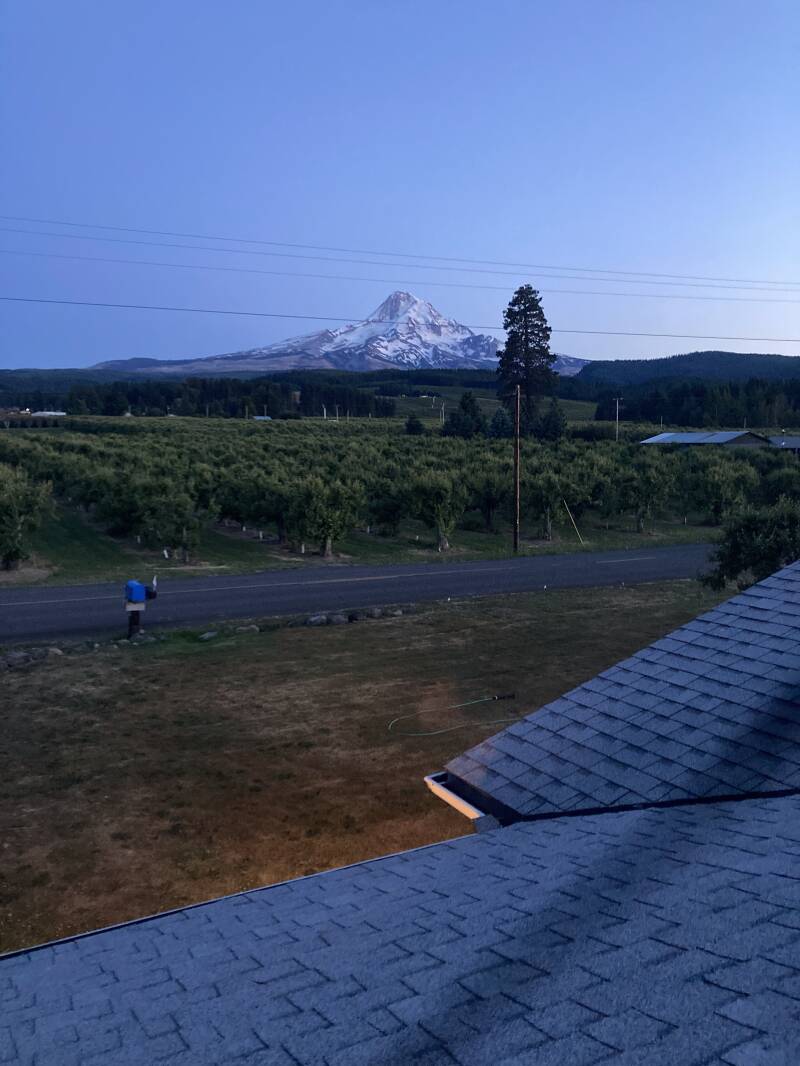 soaking up the view before the move