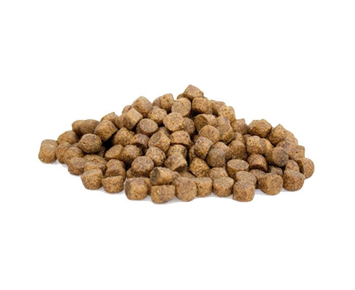 Dieren Paradijs Limburg Graanvrij - Super Premium Chicken & Potatoes