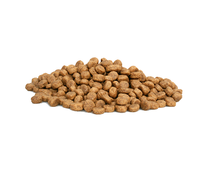 Dieren Paradijs Limburg Graanvrij - Super Premium Puppy Salmon & Potatoes