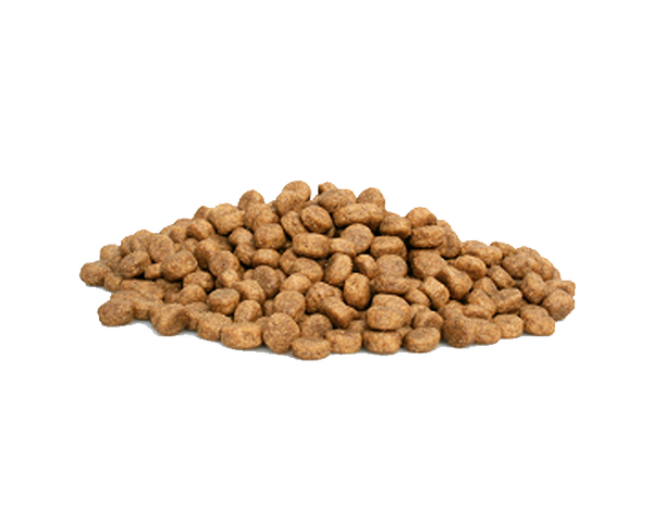 Dieren Paradijs Limburg Graanvrij - Super Premium Puppy Salmon & Potatoes