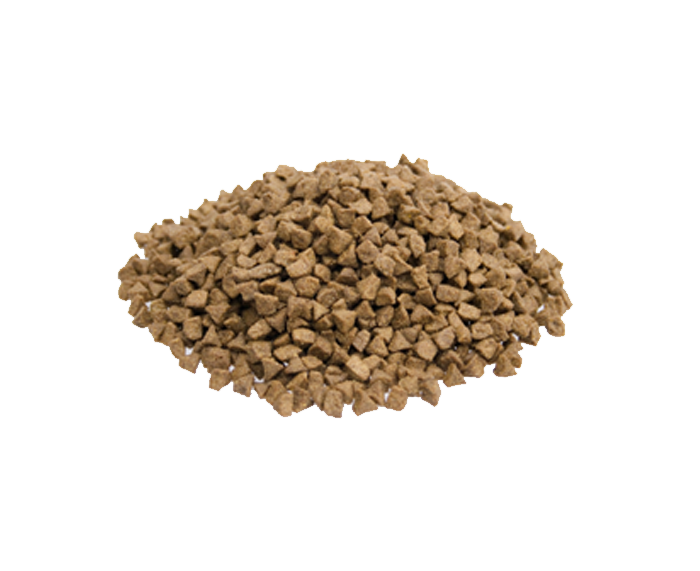 Premium Kat Indoor