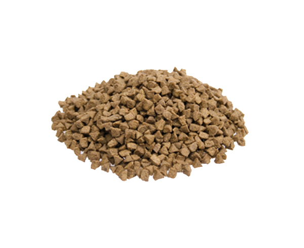 Premium Kat Indoor