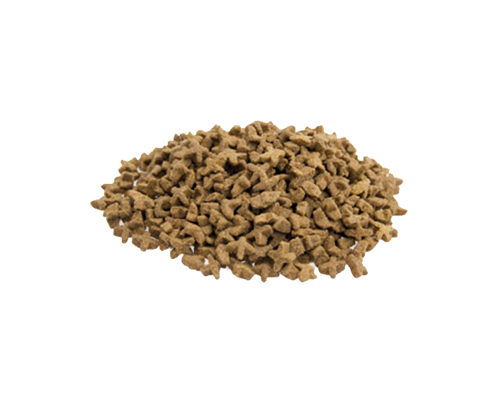 Premium Kat Sensitive