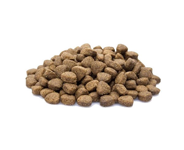 Dieren Paradijs Limburg Premium Chicken & Rice