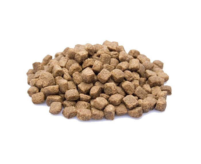 Dieren Paradijs Limburg Premium Lamb & Rice