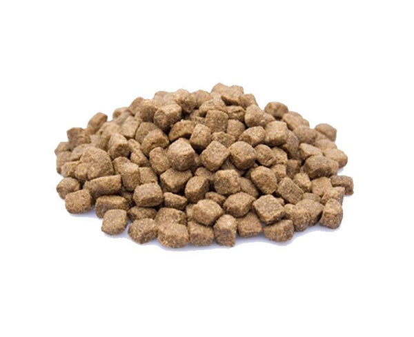 Dieren Paradijs Limburg Premium Lamb & Rice