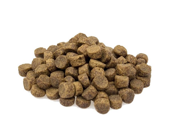 Dieren Paradijs Limburg Super Premium Venison & Potatoes