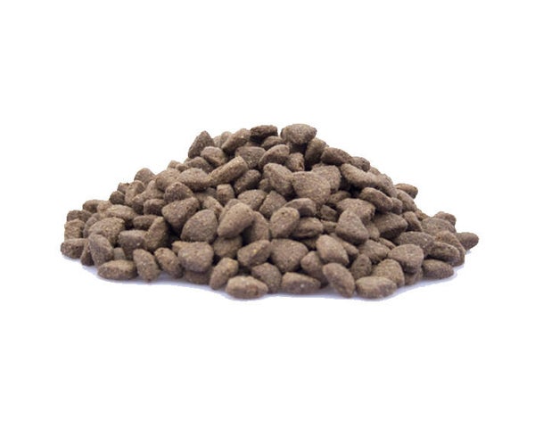 Dieren Paradijs Limburg Super Premium Lamb & Rice