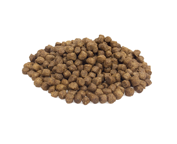 Dieren Paradijs Limburg Super Premium Mini Chicken & Rice
