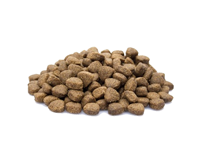Dieren Paradijs Limburg Super Premium Senior/Light Lamb & Rice