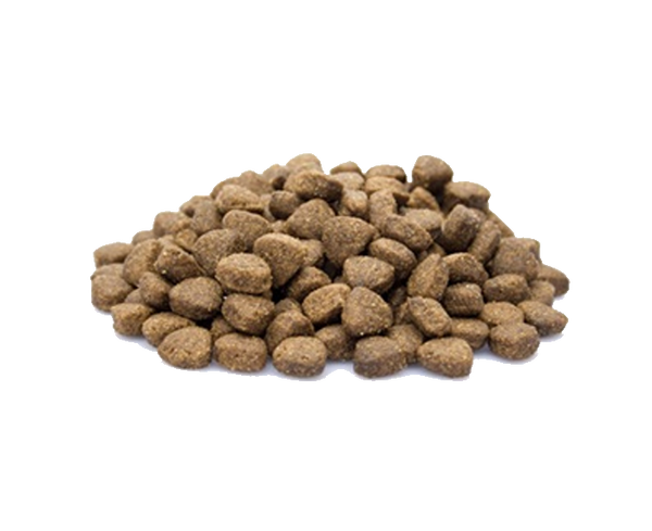 Dieren Paradijs Limburg Super Premium Senior/Light Lamb & Rice