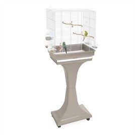 IMAC VOGELKOOI CAMILLA