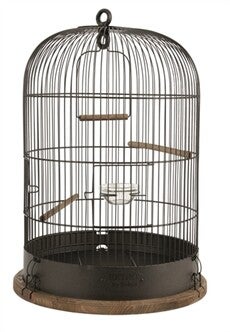 ZOLUX VOGELKOOI RETRO LISETTE