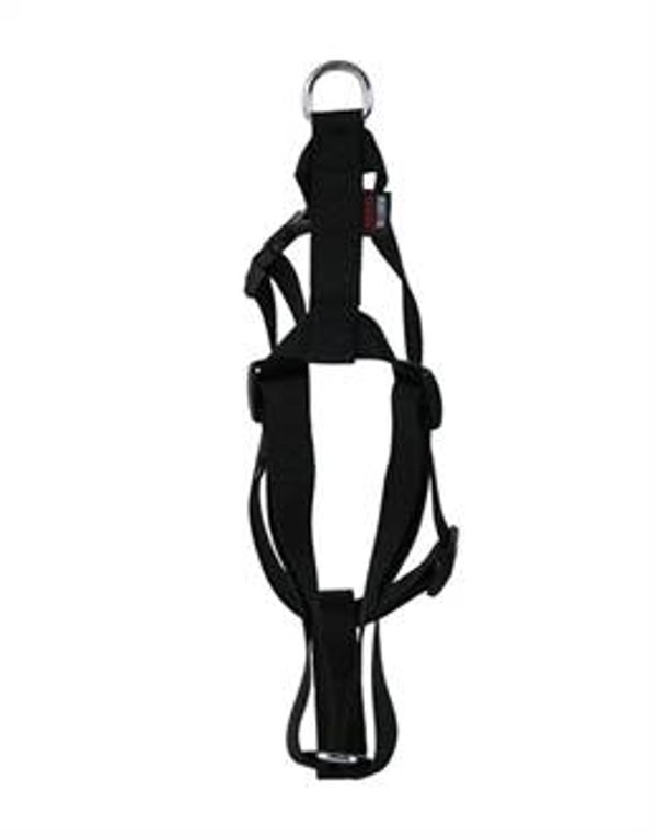 MARTIN HONDENTUIG BASIC NYLON ZWART 50-70X2 CM