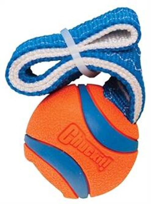 CHUCKIT ULTRA TUG SMALL 25X5X5 CM