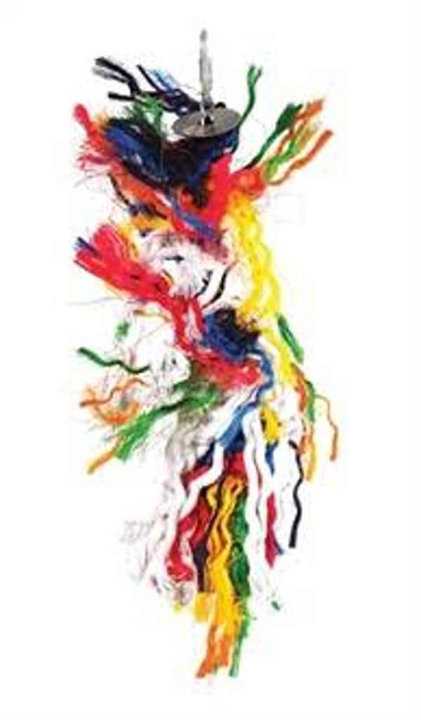 HAPPY PET SPEELGOED PAPEGAAI PLUCKER