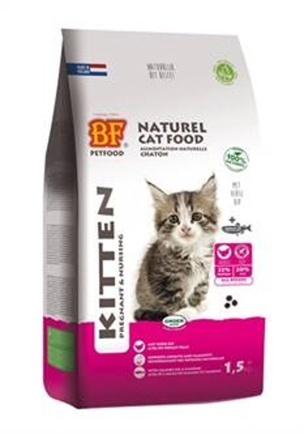 BF PETFOOD PREMIUM QUALITY KAT KITTEN PREGNANT / NURSING 1,5 KG