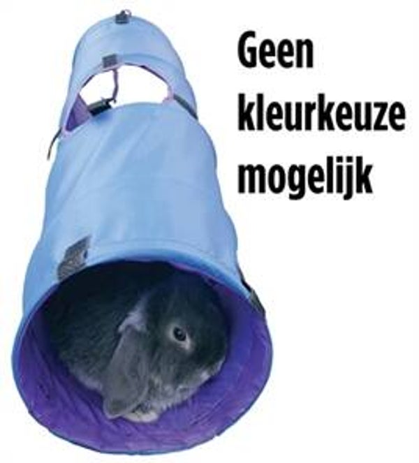 KONIJN TUNNEL ACTIVITY
