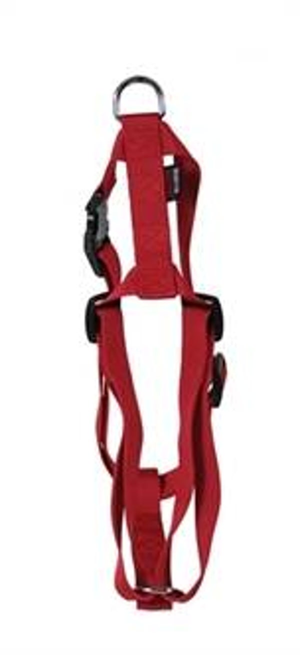 MARTIN HONDENTUIG BASIC NYLON 35-50X1,6 CM